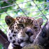 Pistoia Zoo