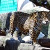 Pistoia Zoo