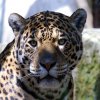 Pistoia Zoo