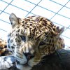 Pistoia Zoo