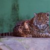 Pistoia Zoo