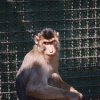 Pistoia Zoo