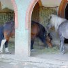 Pistoia Zoo