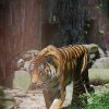 Pistoia Zoo