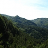 Marradi