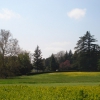 The Park of Pratolino