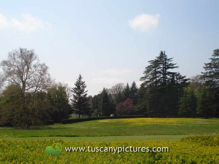 The Park of Pratolino