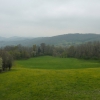 The Park