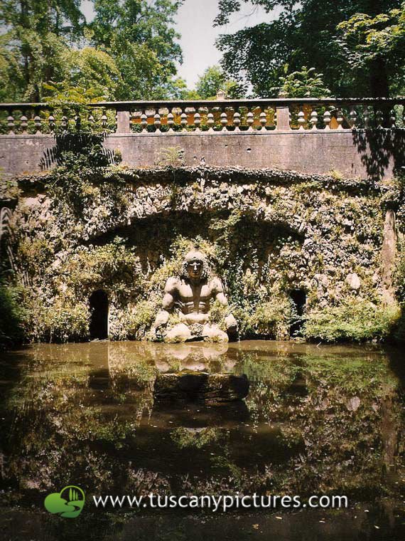 The Maschera Fishpond