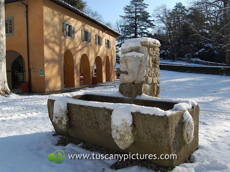 The Park under the snow