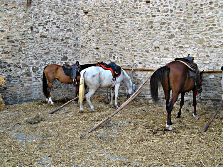 Scarperia Renaissance Festival