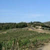 The via Chiantigiana