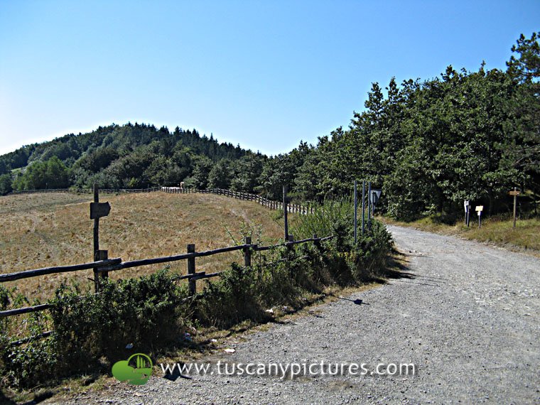 Giogo Pass
