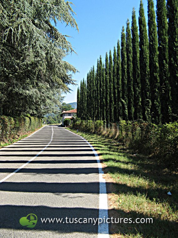 Giogo Pass