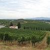 Poggibonsi