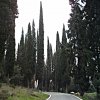 Vincigliata