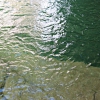 Acquacheta