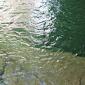 Acquacheta