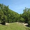 Acquacheta