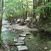 Acquacheta