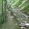 Acquacheta