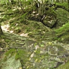 Acquacheta