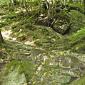 Acquacheta