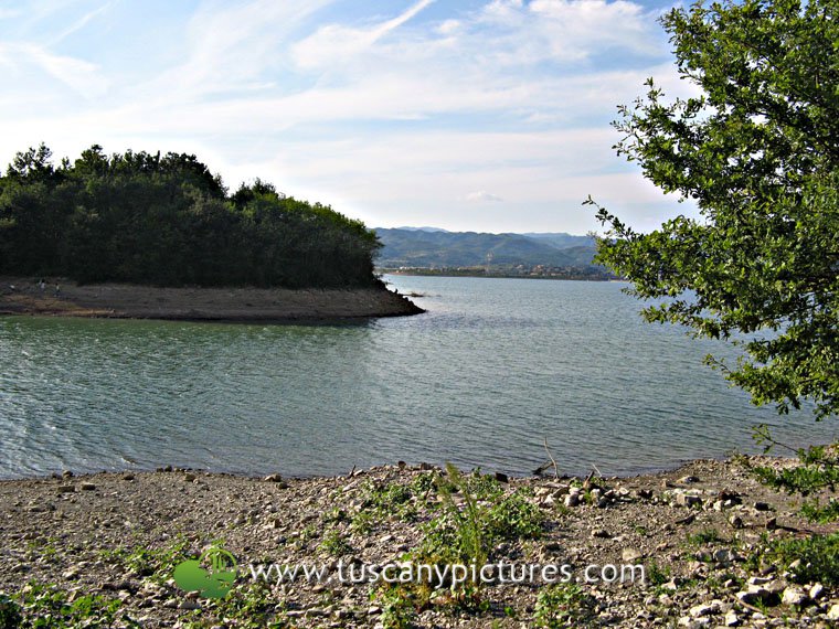 Bilancino Lake