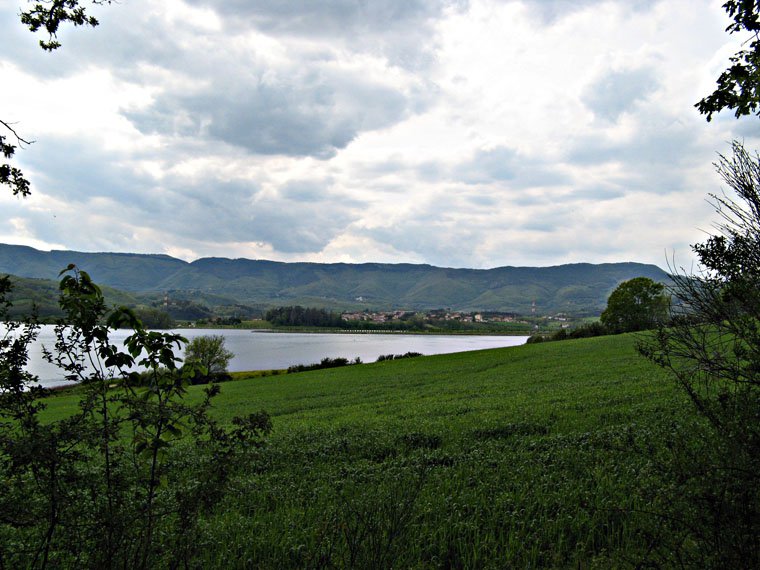 Bilancino Lake
