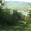 Bilancino Lake