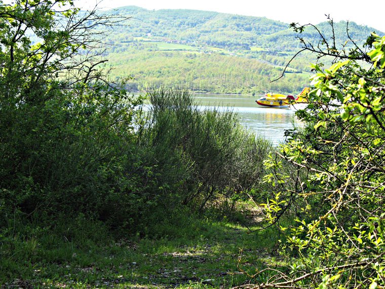 Bilancino Lake