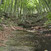 Trekking &amp; Hiking