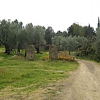 Fiesole, Montececeri, Pratone