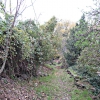 Fiesole, Montececeri, Pratone