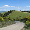Monte Giovi