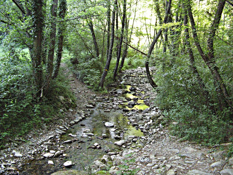 Monte Giovi