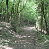 Monte Giovi
