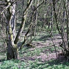 Monte Morello