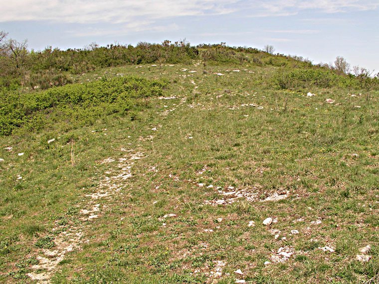 Monte Morello