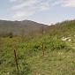 Monte Morello