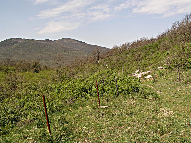 Monte Morello