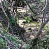 Monte Morello