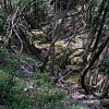 Monte Morello