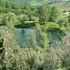 Montefiesole