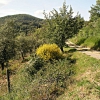 Montefiesole