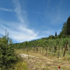 Montefiesole