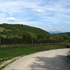 Trebbio