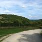 Trebbio