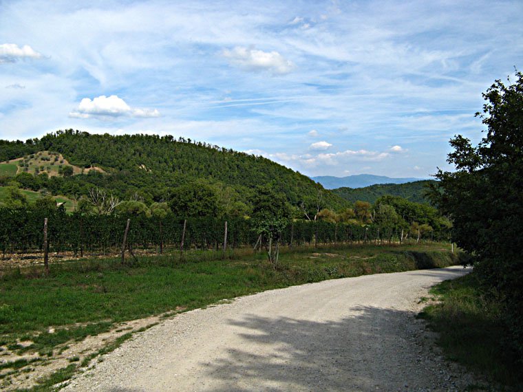 Trebbio