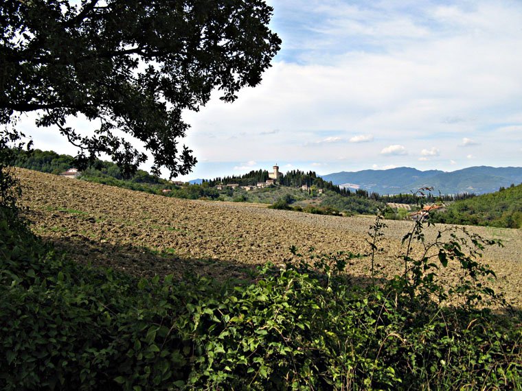 Trebbio